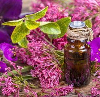 Clary Sage Oil
