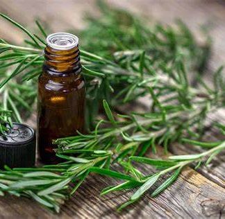 Rosemary Oil
